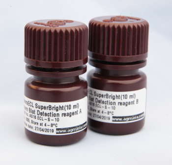 Agrisera Chemiluminescence detection reagent AS16 ECL-S-10
